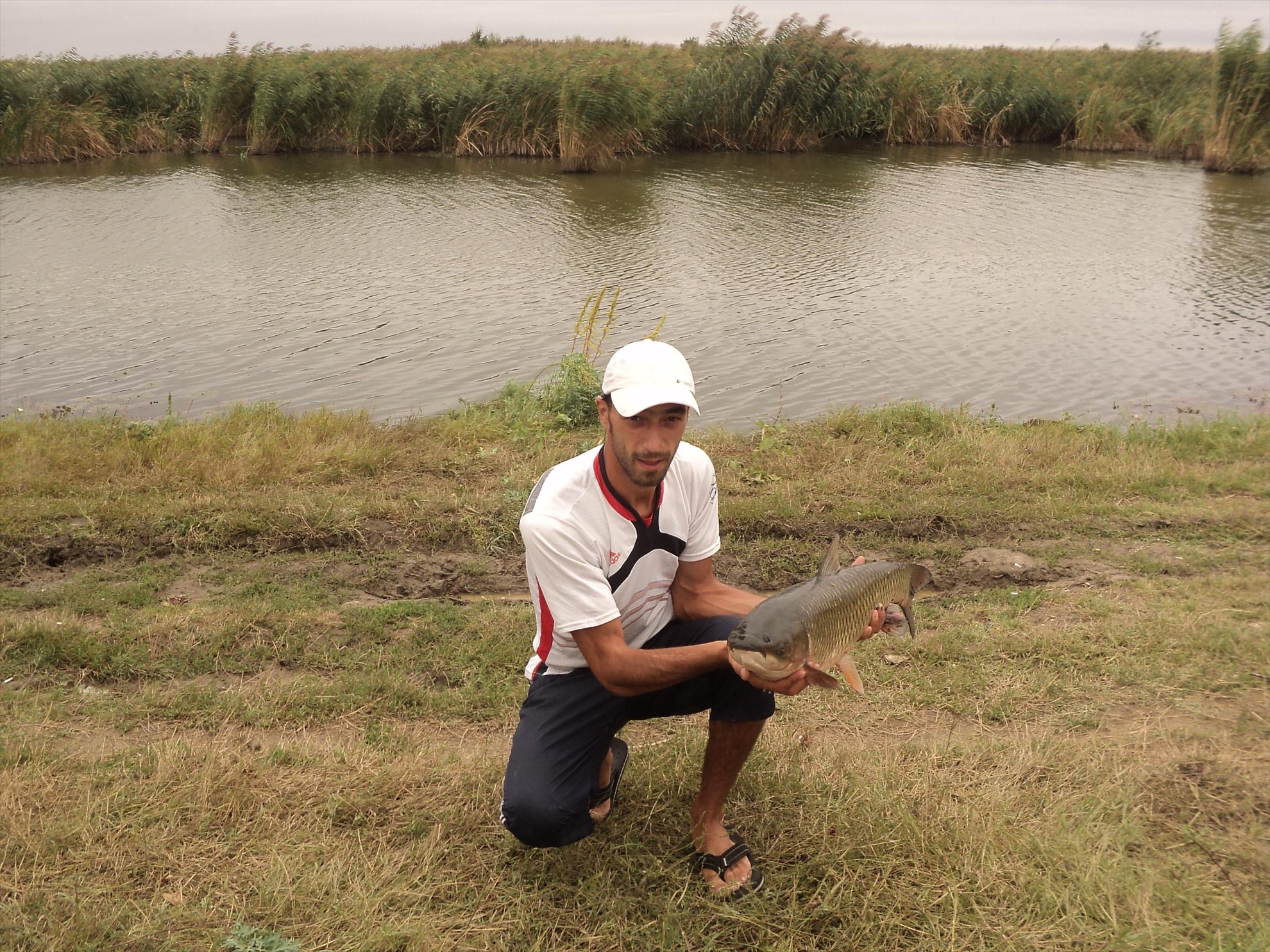 o mica parte din pesti de anul trecut - dsc01910.JPG